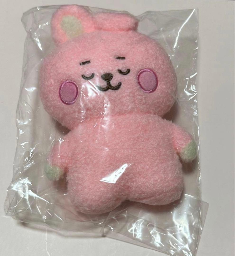 BT21 TATA COOKY たっとん ねとん