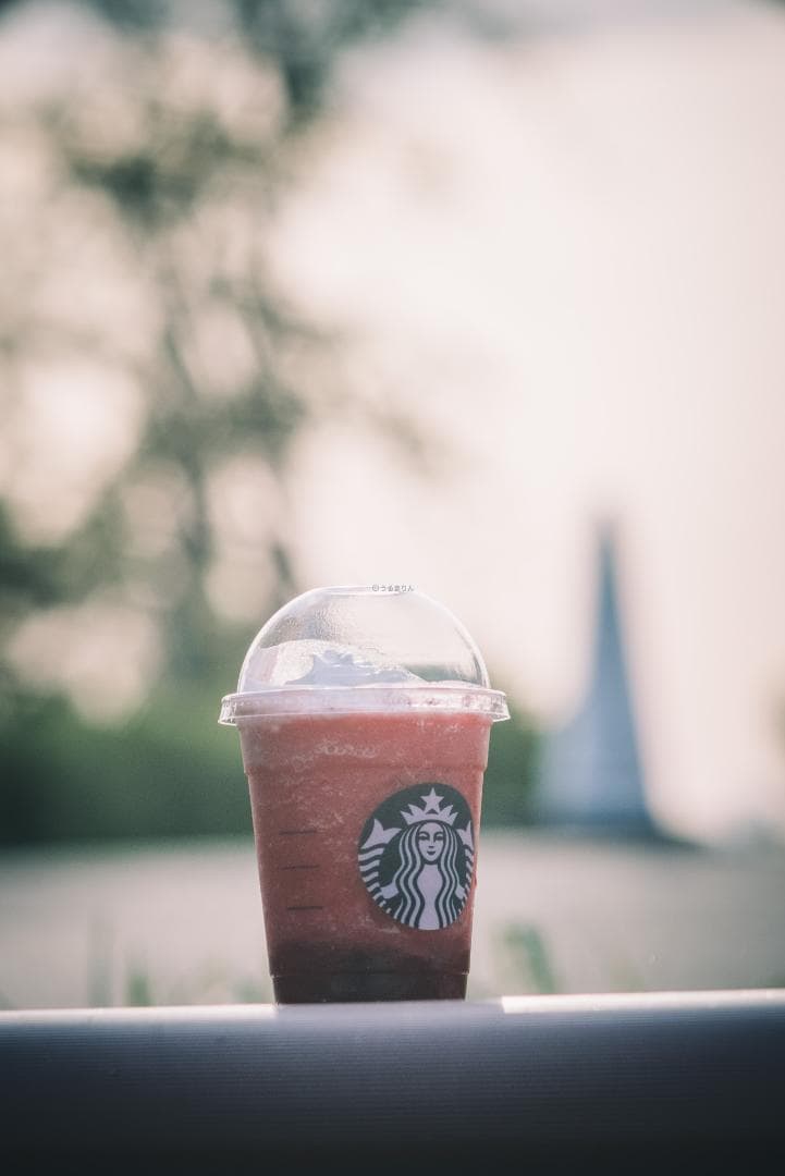 オールド望遠セット！CONTAX Sonnar 135mm＋2倍テレコン