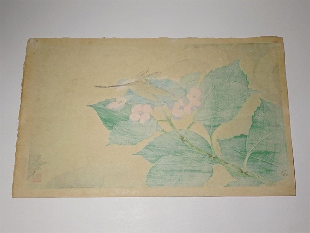 日展審査員 加藤晨明 手摺木版画『八仙花』昭和23年作 新版画 師中村岳陵