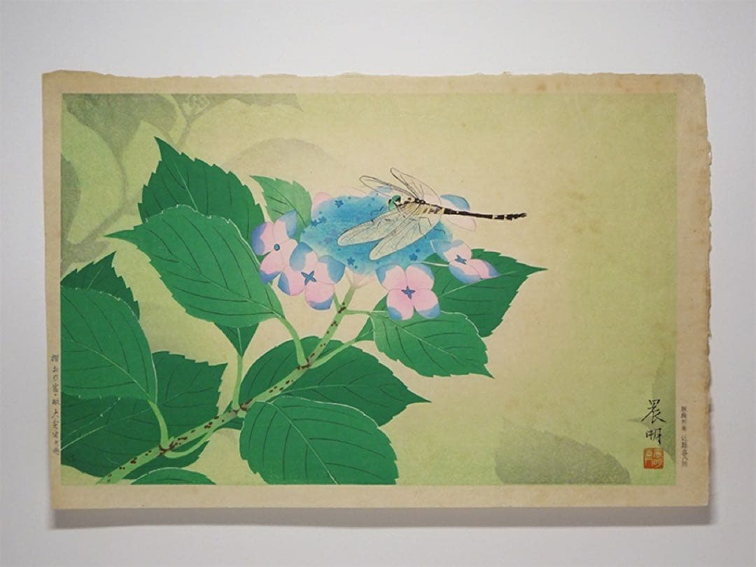 日展審査員 加藤晨明 手摺木版画『八仙花』昭和23年作 新版画 師中村岳陵