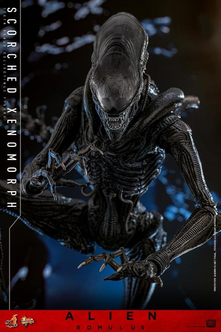 ムービー・マスターピース エイリアン:ロムルス スコーチド・ゼノモーフ 1/6