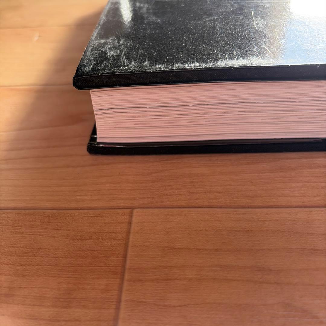 Eames Design イームズ　デザイン　アートブック　作品集 nigo