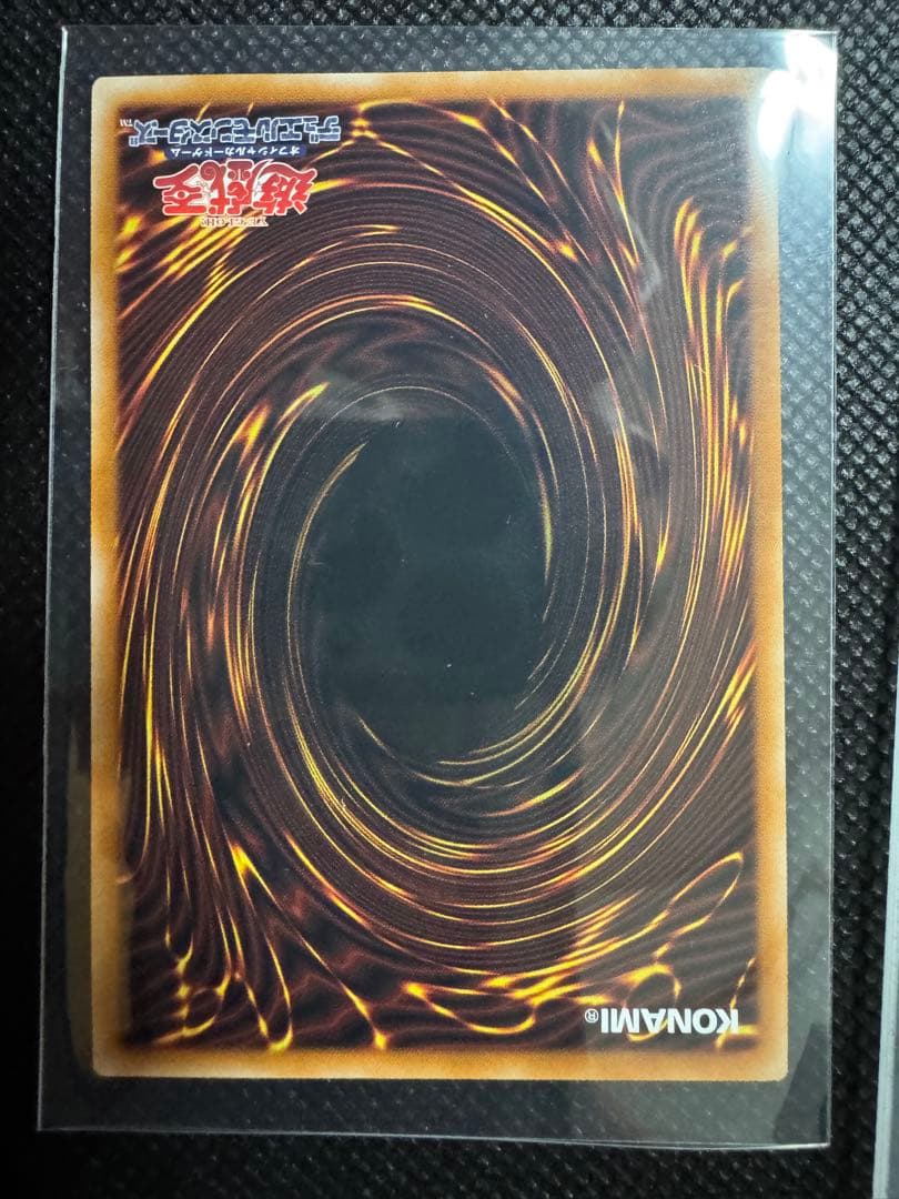 ドミナスパージ　オーバーフレーム（ローダー発送）