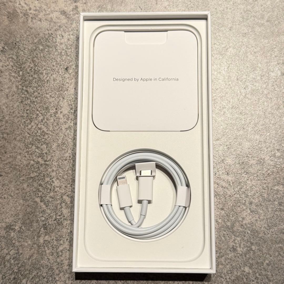 Apple iPhone 14 Pro Max 1TB シルバー　※端子不良