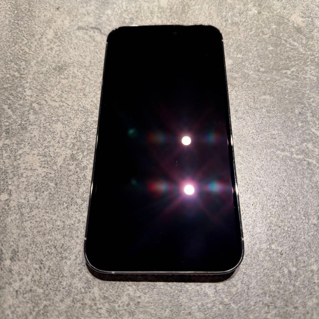 Apple iPhone 14 Pro Max 1TB シルバー　※端子不良