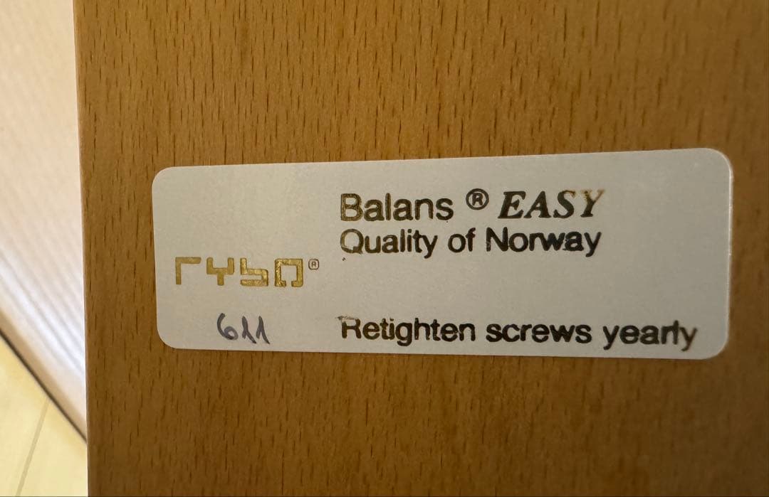 Rybo社 バランスチェア・イージー 純正カバー（ブルー）付