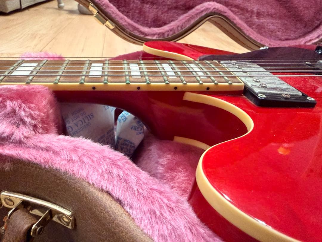 Burny SRSA-65 セミアコ　ハードケース付　(FERNANDES)