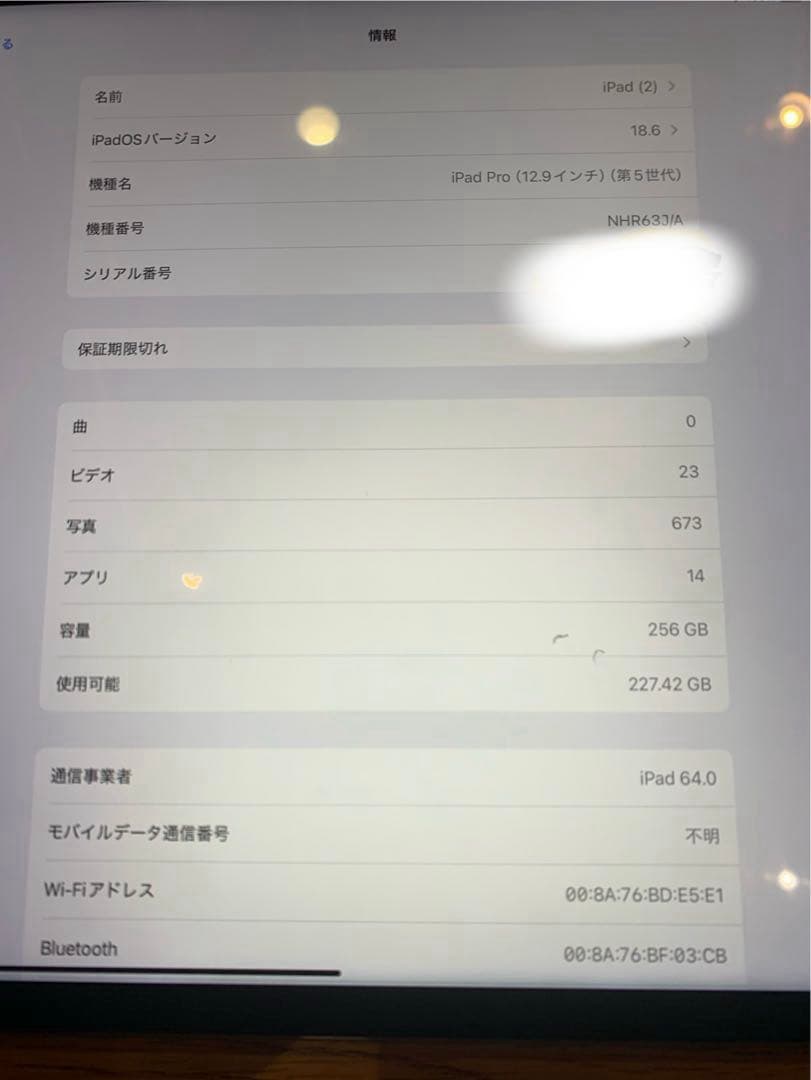 第5世代Apple iPad Pro (12.9インチ) 256GB