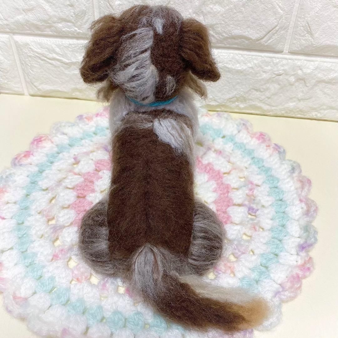 ミニチュアダックスフンド　チョコダップル