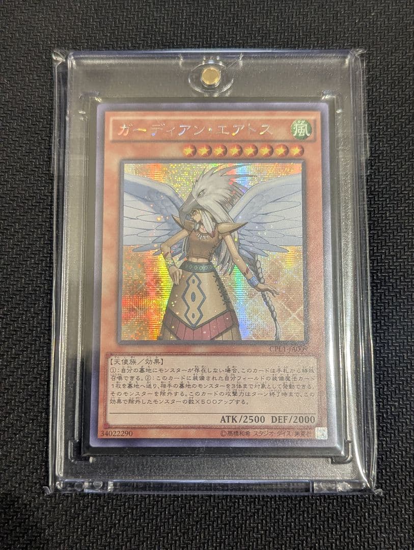 ガーディアン・エアトス　アジア版　シークレット