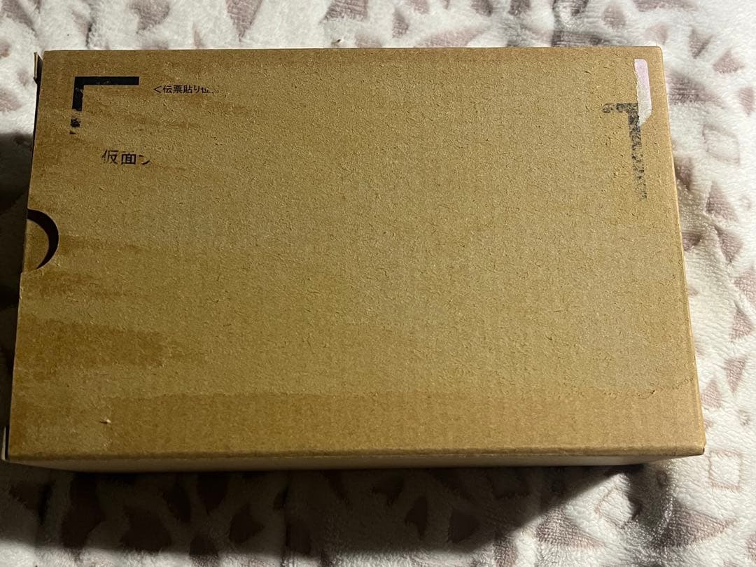 輸送箱付き 真骨彫製法 S.H.Figuarts仮面ライダーサイガ