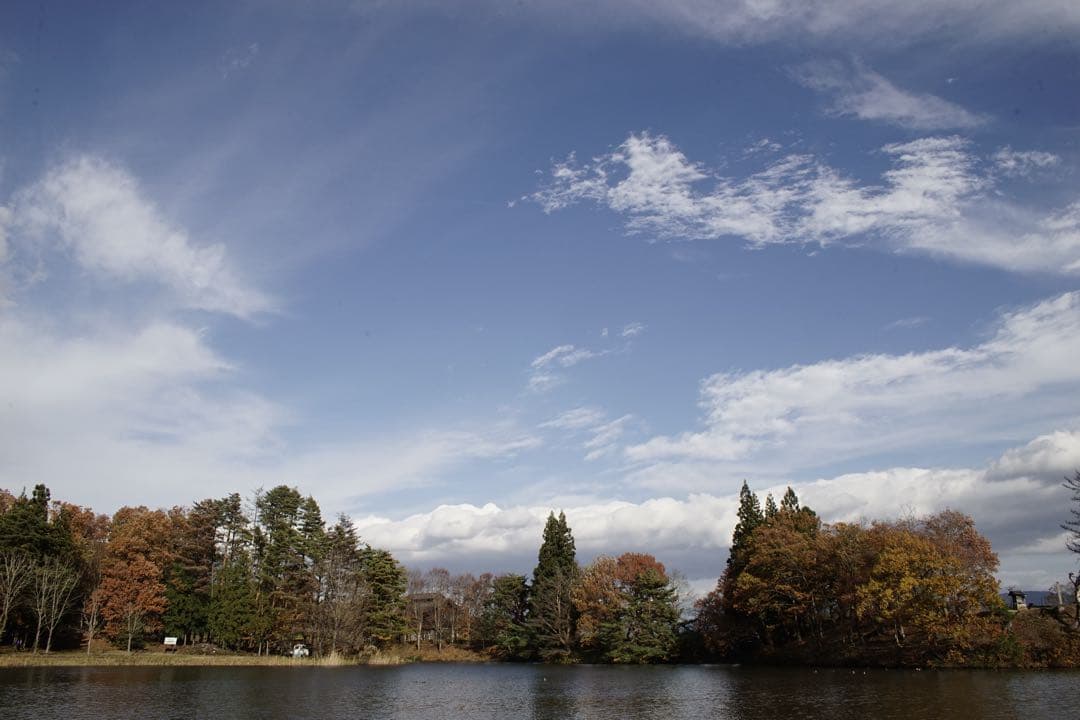 作例付き　TOKINA AT-X PRO 28-70mm F2.8 管mpr