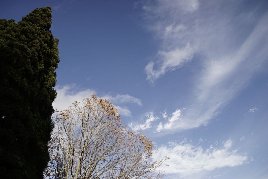 作例付き　TOKINA AT-X PRO 28-70mm F2.8 管mpr