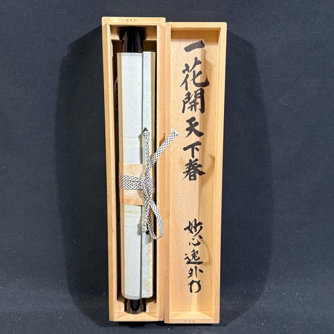 K207 梶浦逸外 「一花開天下春」 掛軸 書 紙本 肉筆 共箱