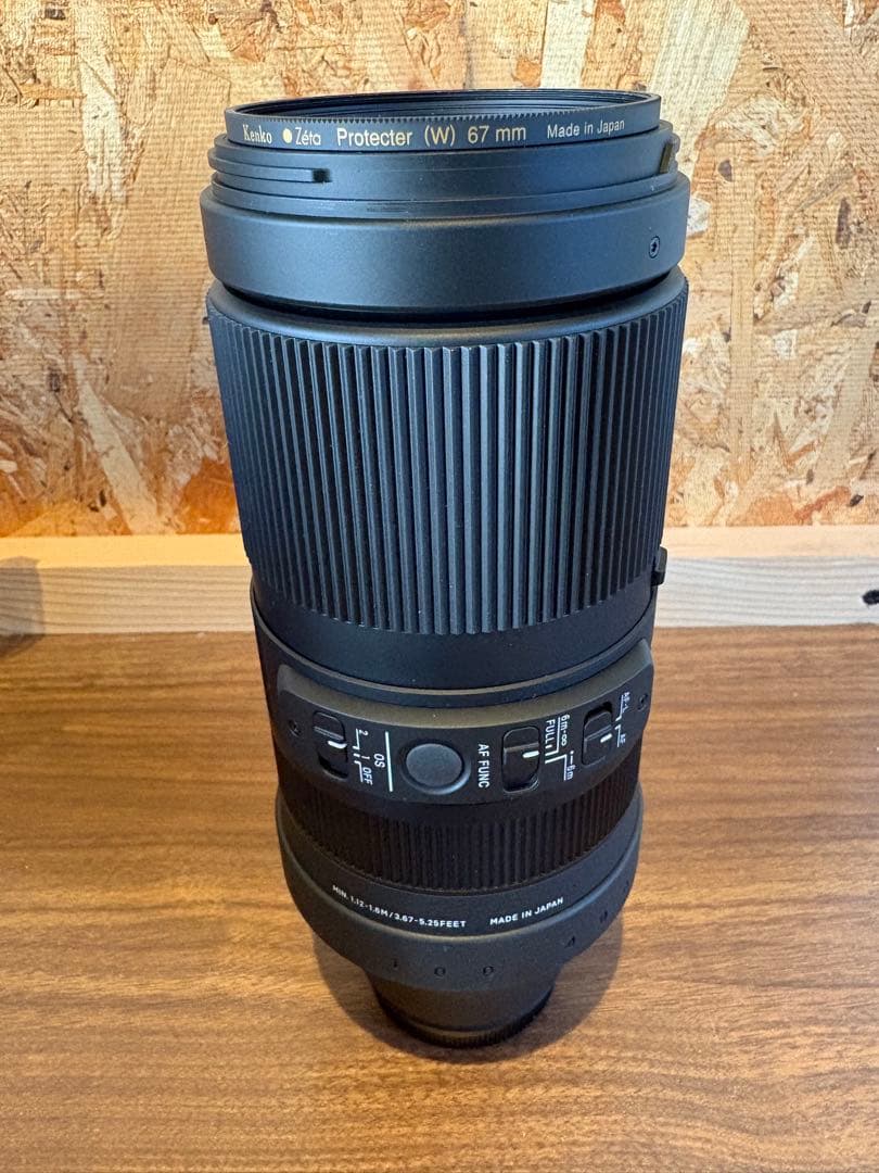 SIGMA 100-400mm F5-6.3 DG DN OS 富士フィルム　Ｘ