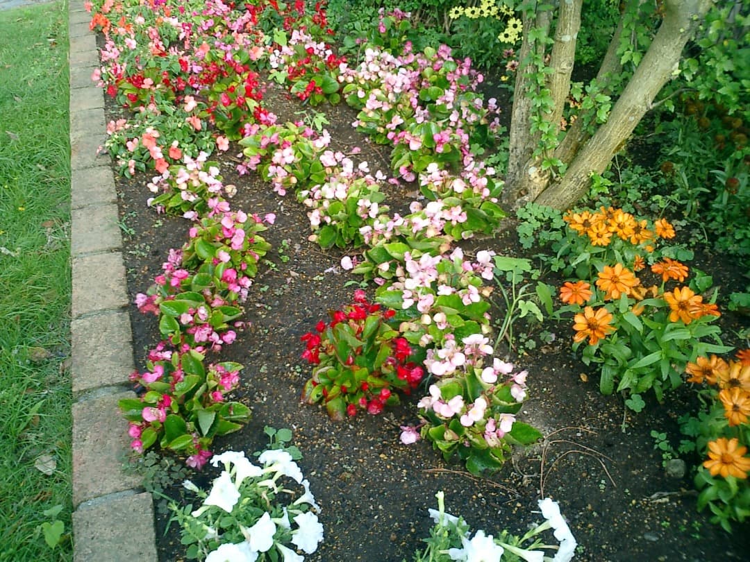 レトロ⭕️【動作oK!】CASIO EXILIM CARD EX-S2 シルバー