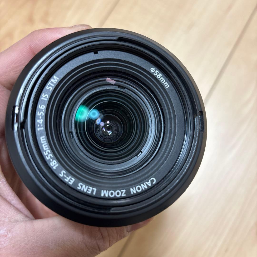 Canon EOS 7D Mark II その他付属品あり