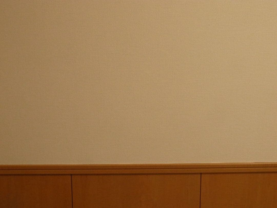 RICOH GR DIGITAL IV リコー ホワイト バッテリーおまけ