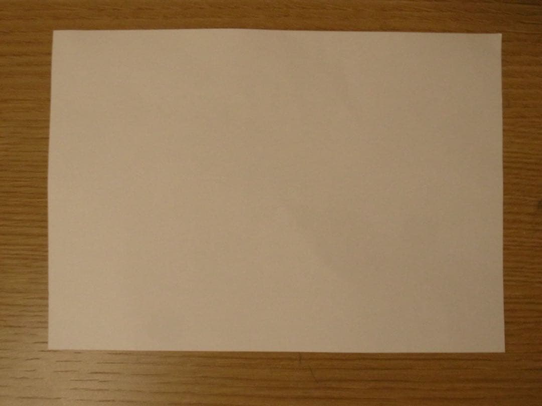 RICOH GR DIGITAL IV リコー ホワイト バッテリーおまけ