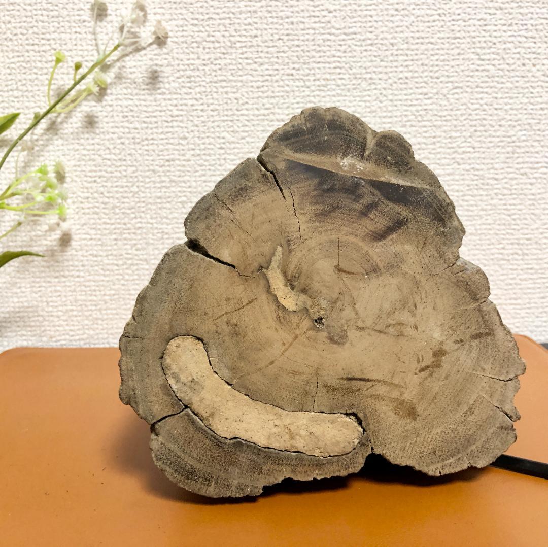 素朴な固体木製のベースライト