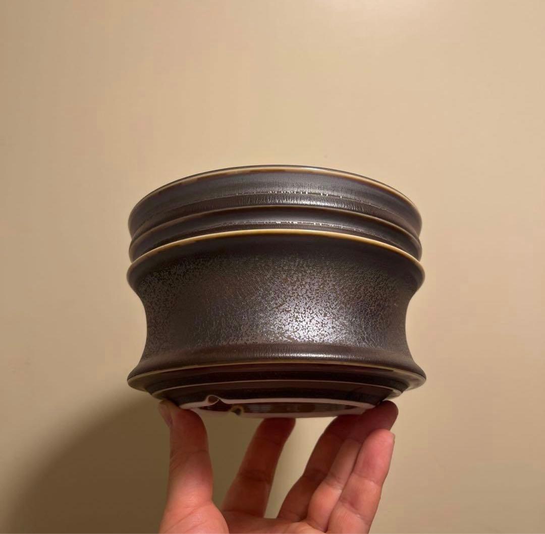 XL SIZE 植木鉢 作家鉢 グラキリス パキプス 恵比寿笑い 黒鬼城 魔界玉