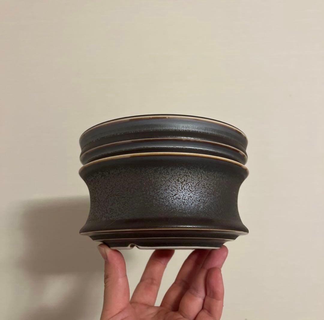 XL SIZE 植木鉢 作家鉢 グラキリス パキプス 恵比寿笑い 黒鬼城 魔界玉