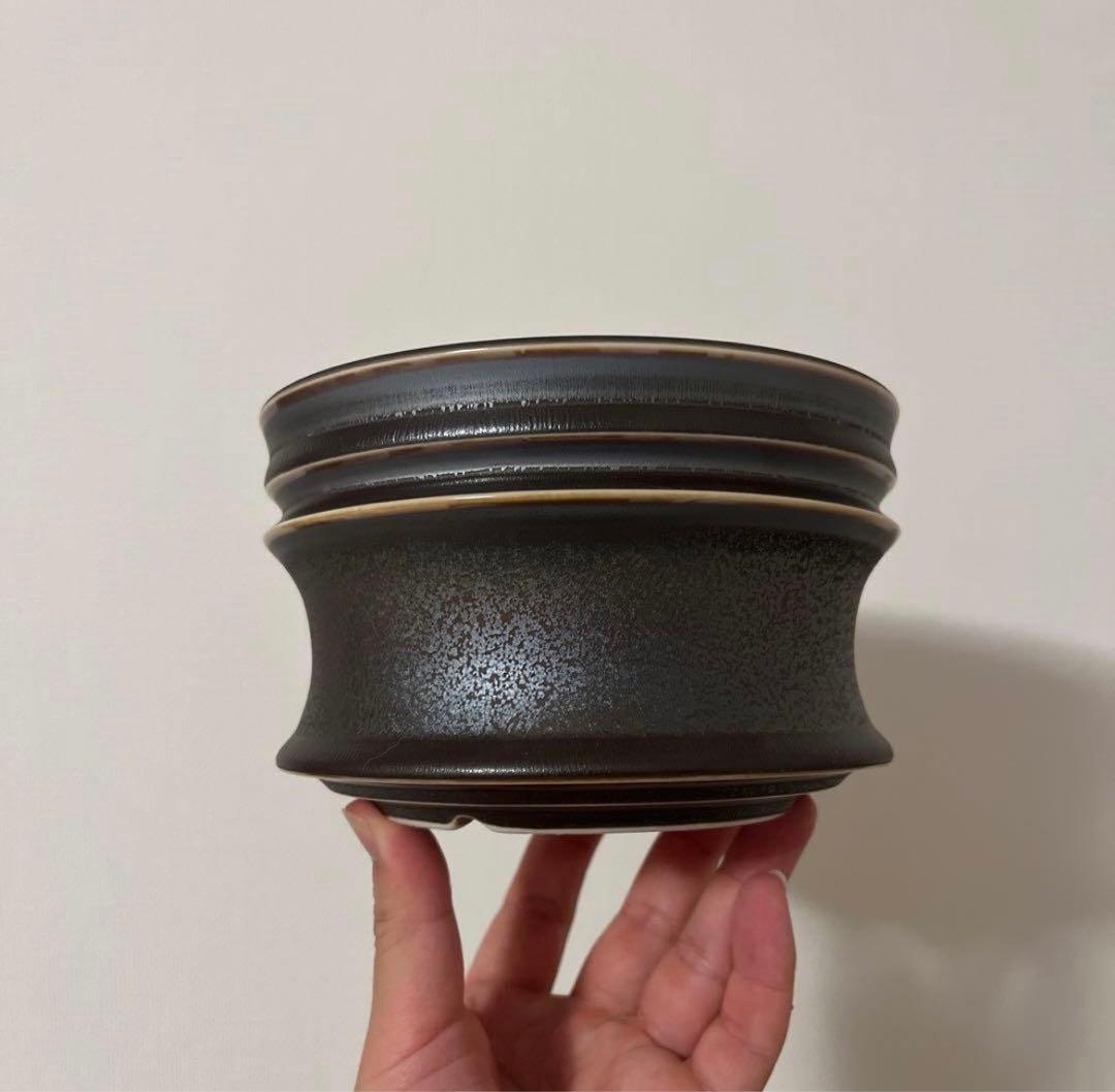 XL SIZE 植木鉢 作家鉢 グラキリス パキプス 恵比寿笑い 黒鬼城 魔界玉