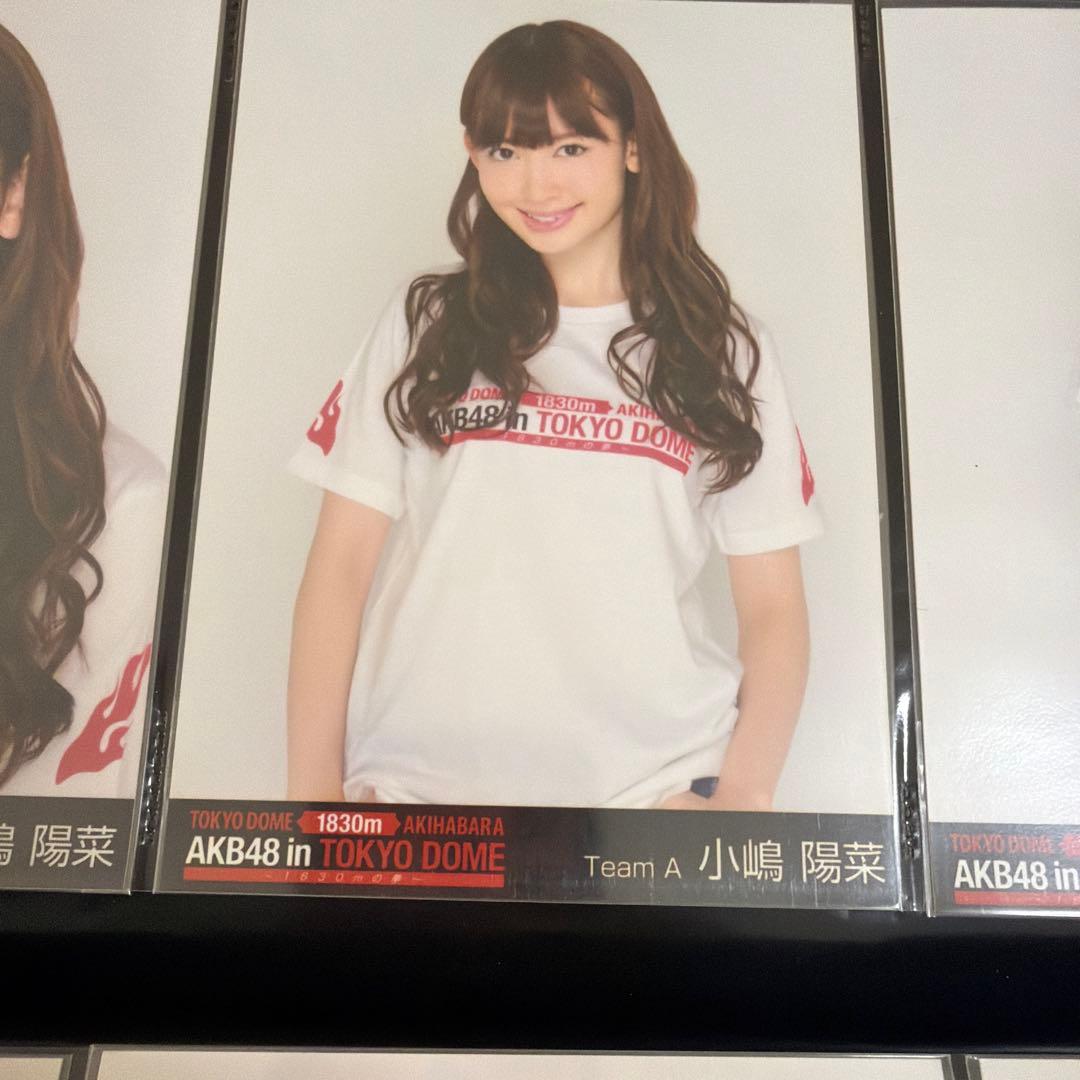 小嶋陽菜　生写真　6枚　コンサート限定