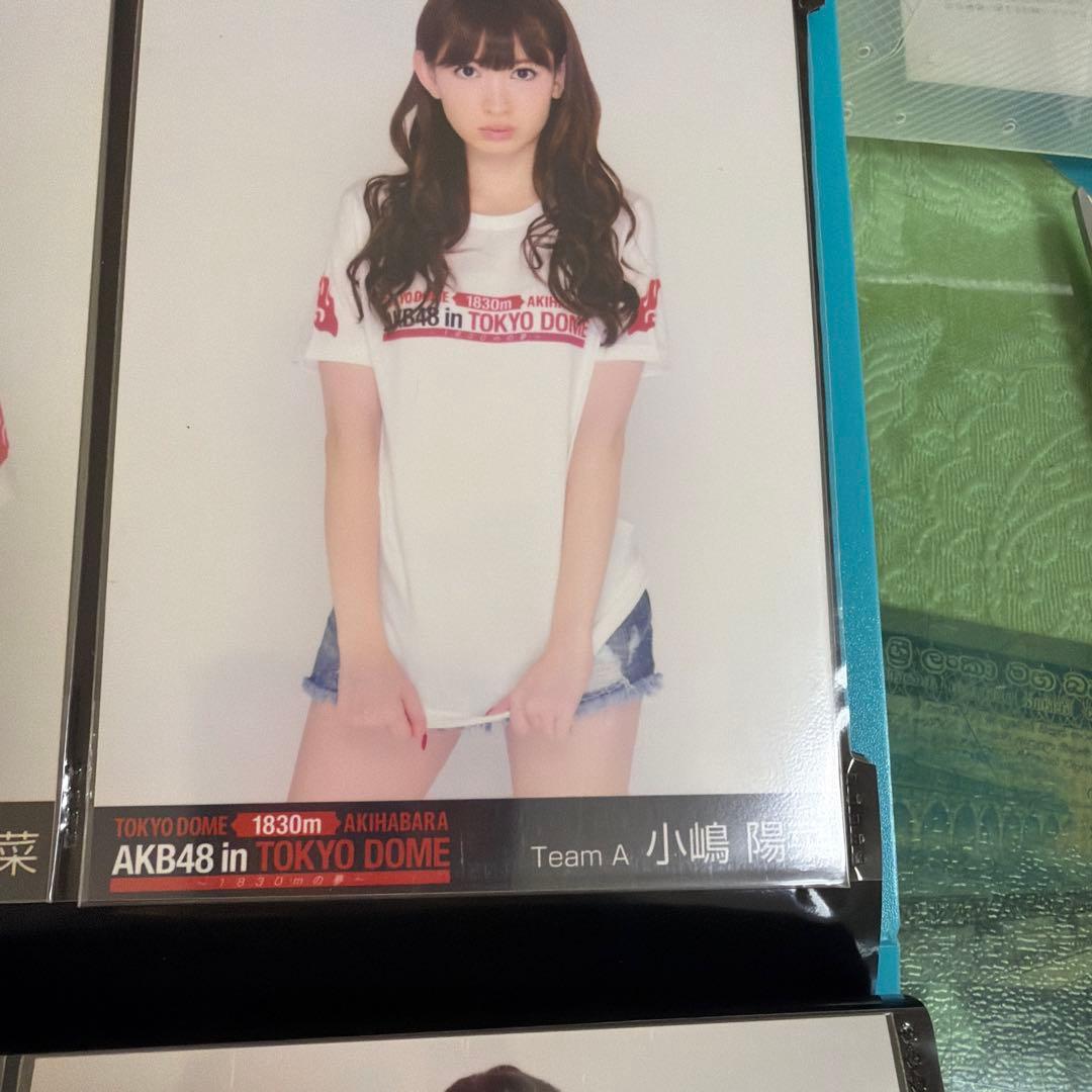小嶋陽菜　生写真　6枚　コンサート限定