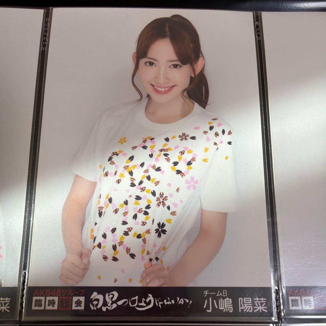小嶋陽菜　生写真　6枚　コンサート限定