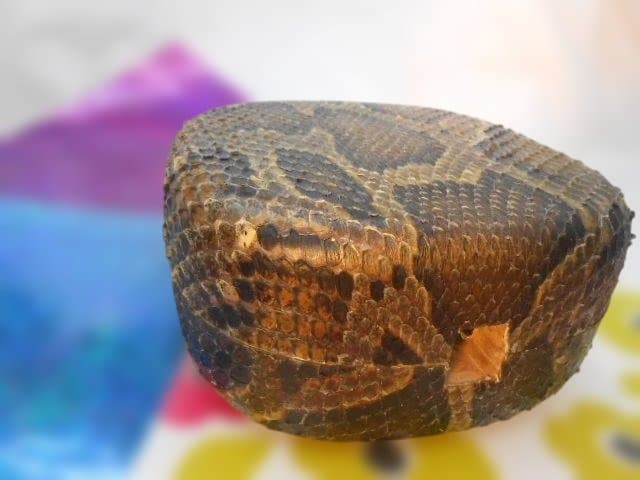 #1現品販売　新品未使用16.980円　N蛇皮強化(二重張)型チーガ今年３月作成