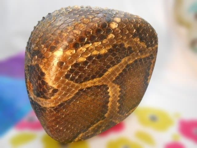 #1現品販売　新品未使用16.980円　N蛇皮強化(二重張)型チーガ今年３月作成