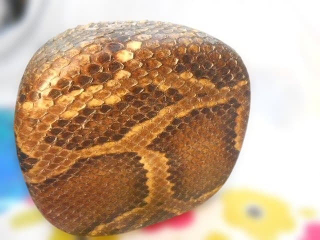 #1現品販売　新品未使用16.980円　N蛇皮強化(二重張)型チーガ今年３月作成