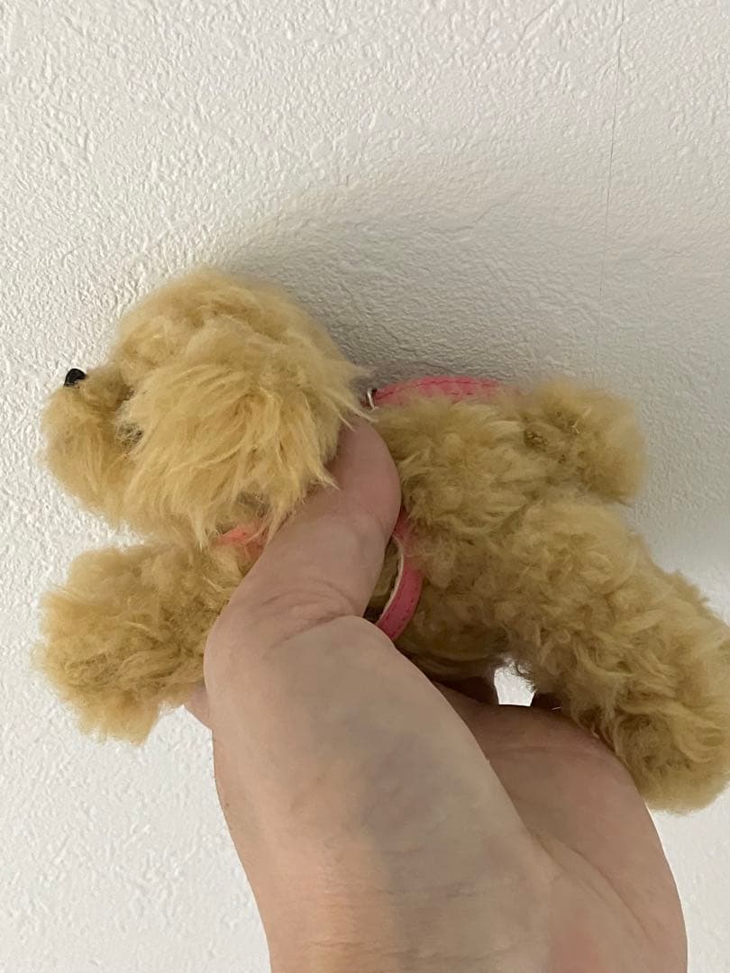 ★ハンドメイド★ いっしょにおでかけ トイプードル ぬいぐるみ アプリコット