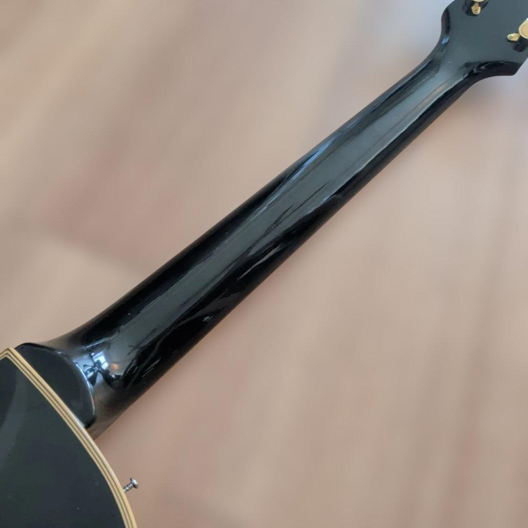 MAISON テレキャスタイプレスポール