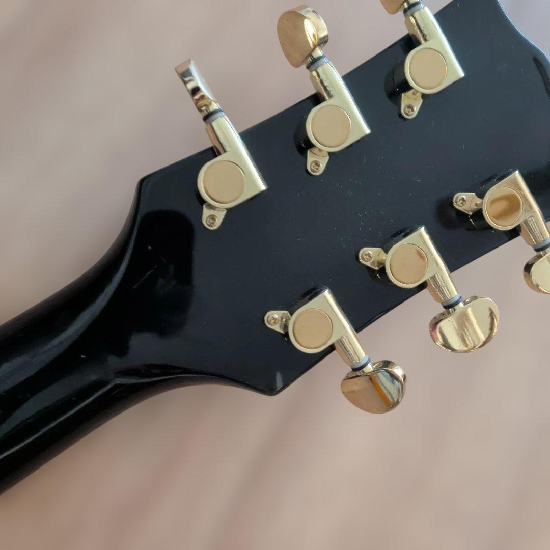 MAISON テレキャスタイプレスポール