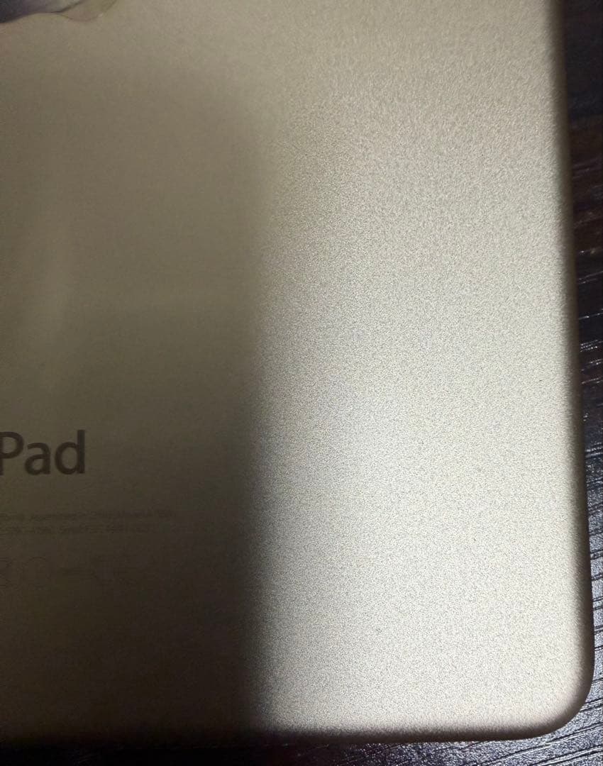 iPad本体 Apple iPad mini 4 (MNWG2J/A)