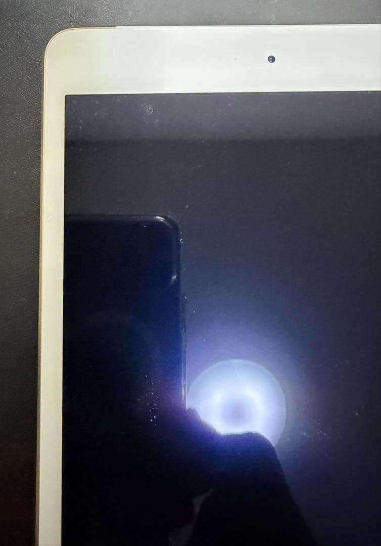 iPad本体 Apple iPad mini 4 (MNWG2J/A)