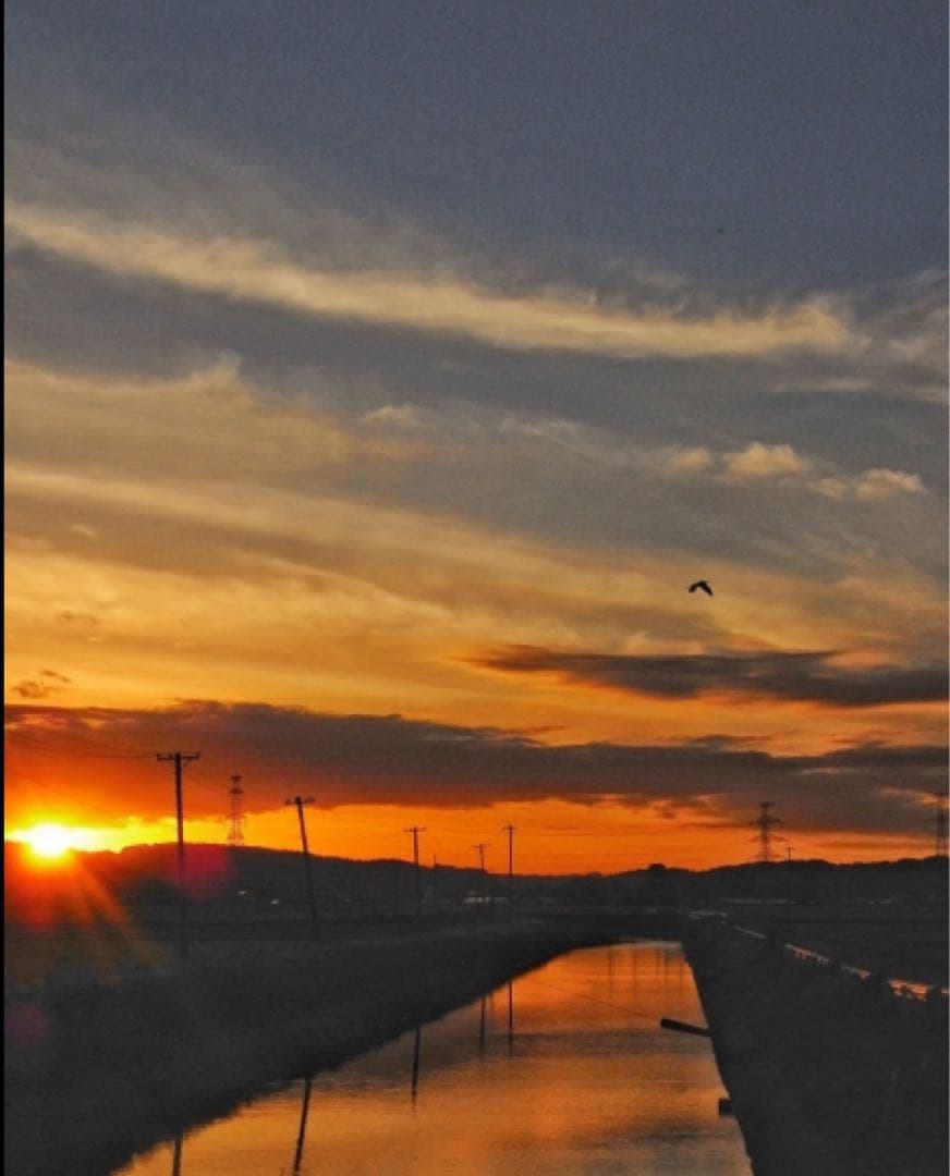 RICOH リコー R10 ブラウン デジタルカメラ