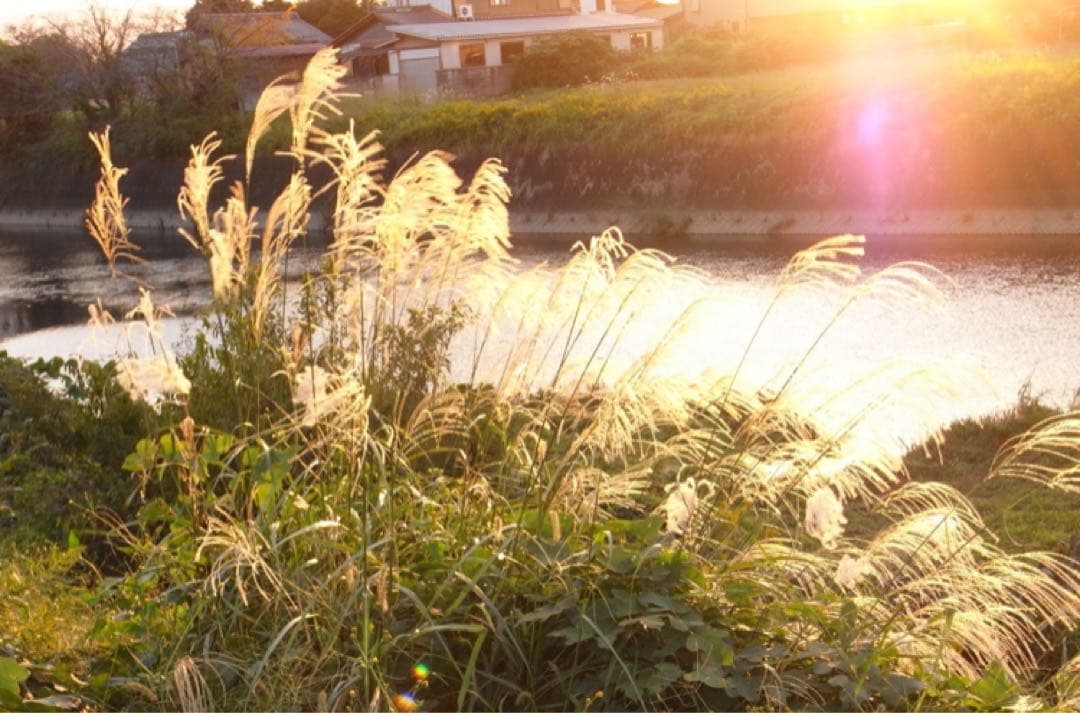 RICOH リコー R10 ブラウン デジタルカメラ