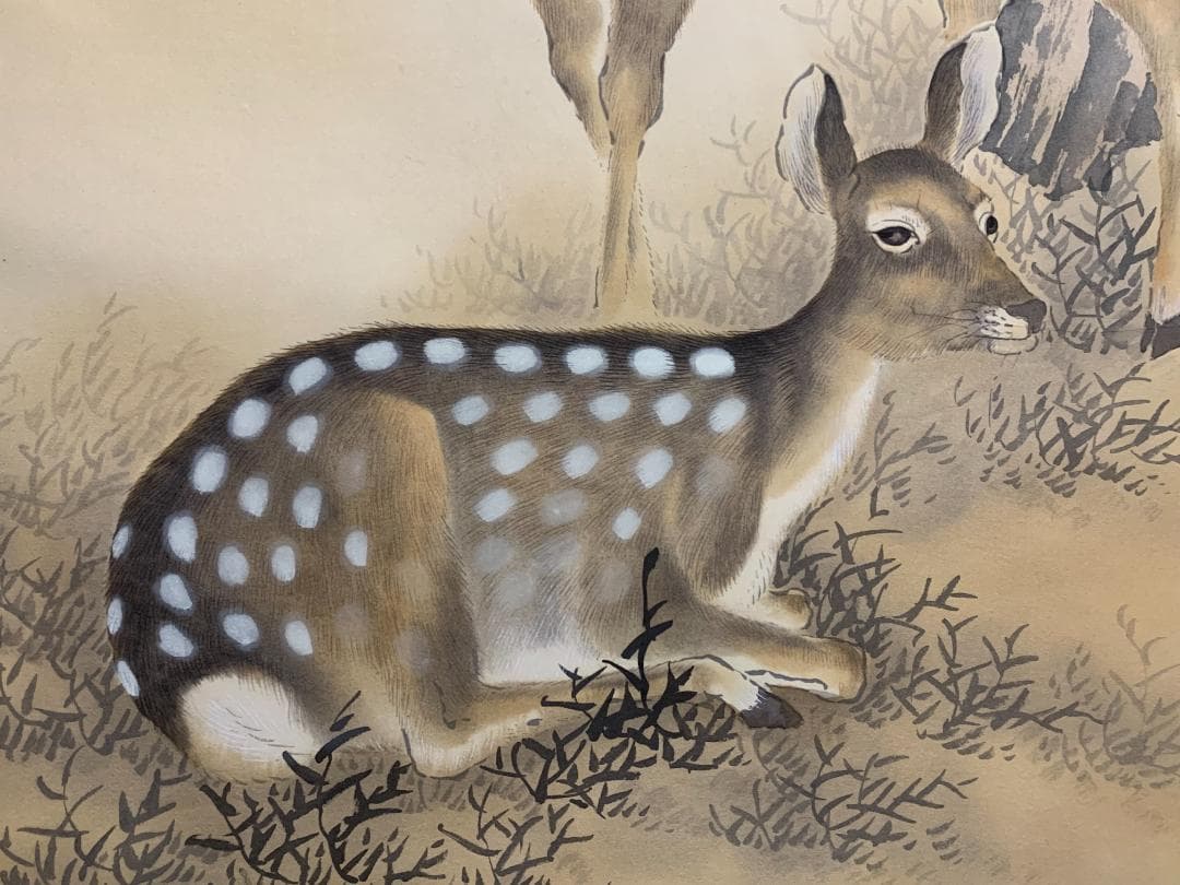 春川 楓下双鹿図 絹本 掛軸 共箱 日本画 美品 580