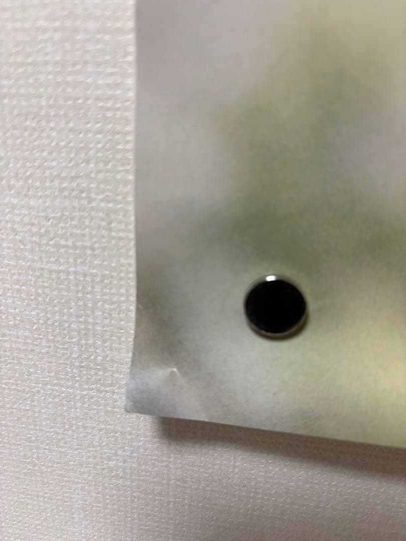 レア aiko B2ポスター 桜の木の下