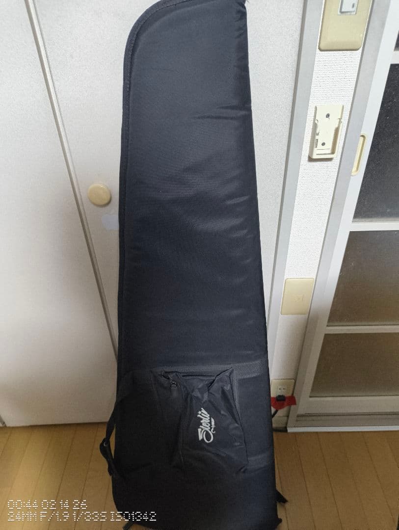 HEY−SMITH猪狩シグネイチャーモデル エクスプローラー グラスルーツ