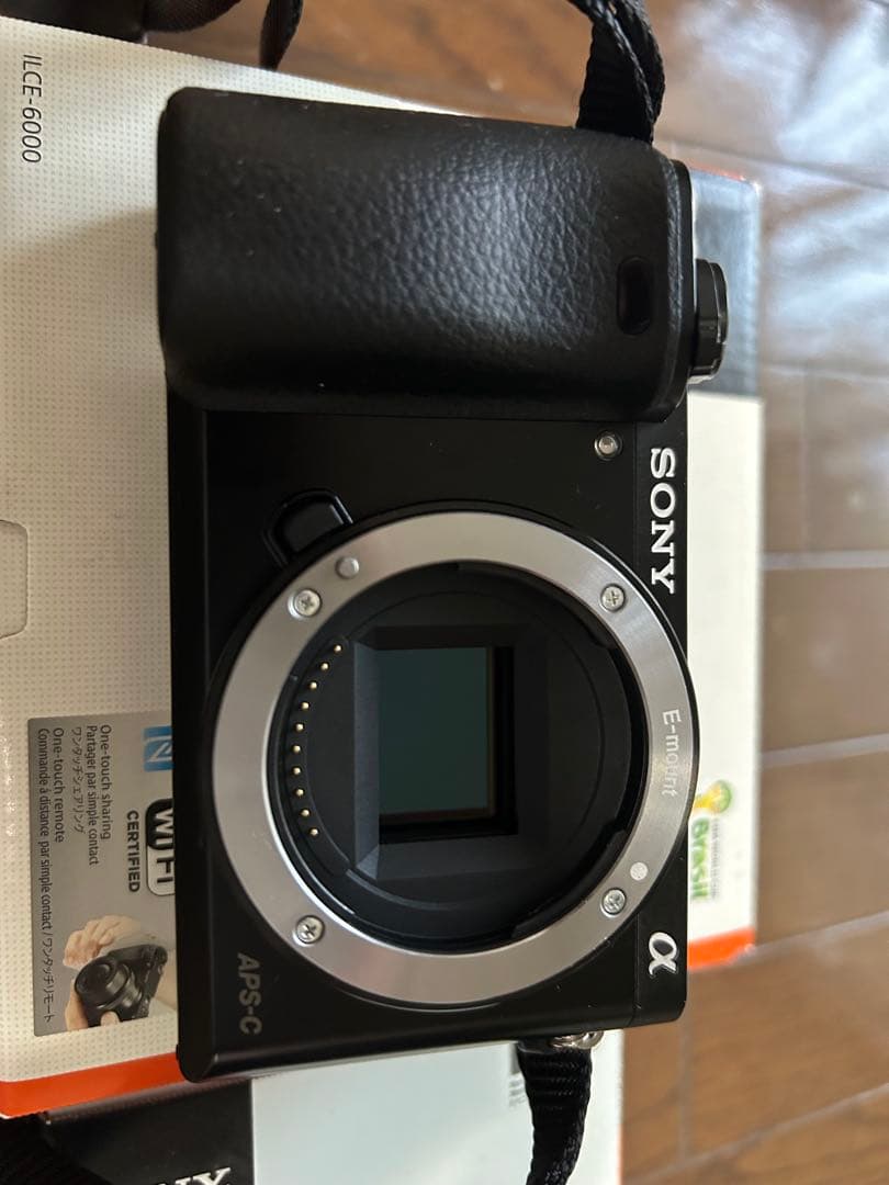 Sony α6000 Sonnar T*E24mm F1.8ZA:写真515回