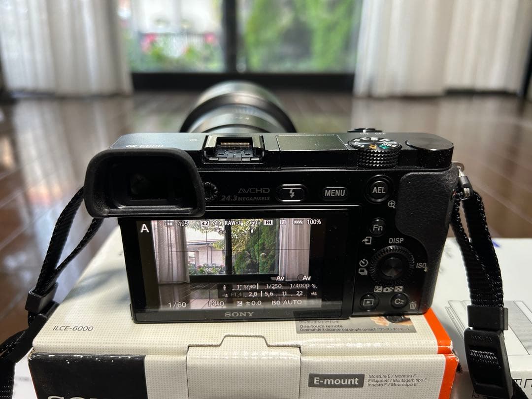 Sony α6000 Sonnar T*E24mm F1.8ZA:写真515回