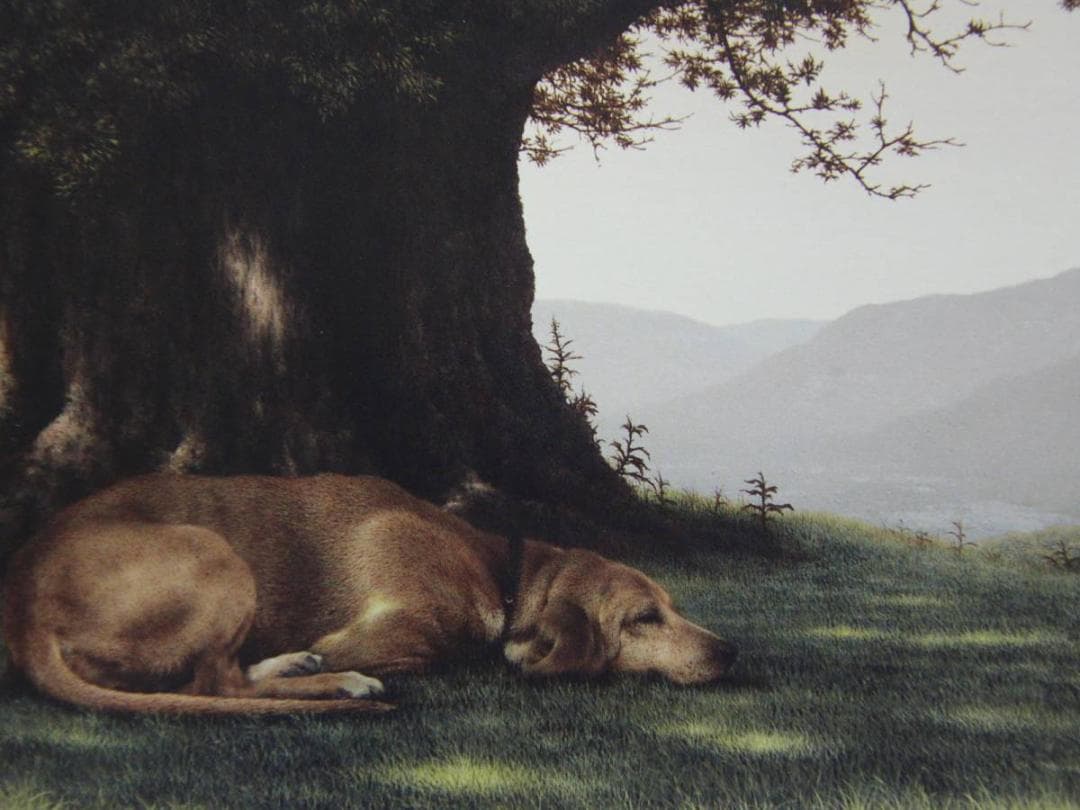 奥西健吉、【木陰のサンバ】、希少な画集より、状態良好、新品高級額装付