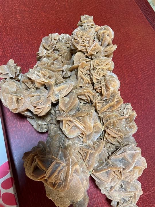 珊瑚　サンゴ　置物　オブジェ　アクアリウム