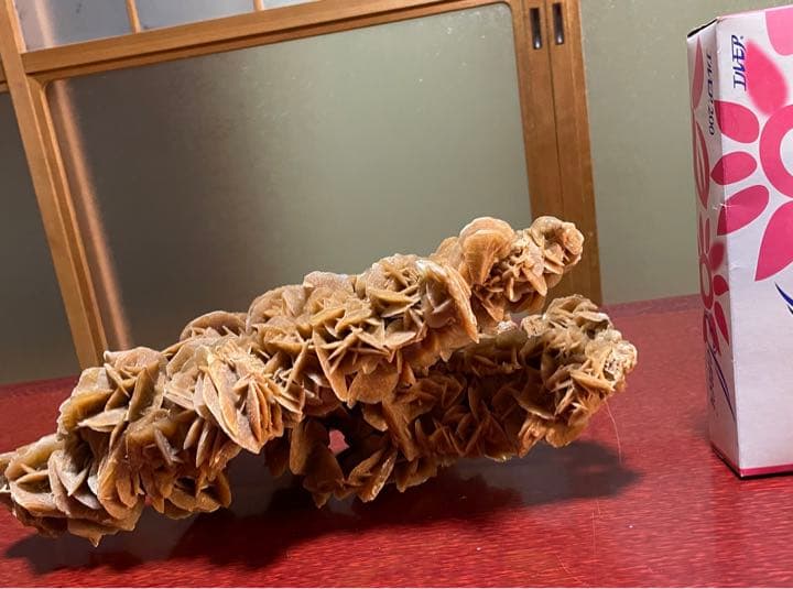 珊瑚　サンゴ　置物　オブジェ　アクアリウム