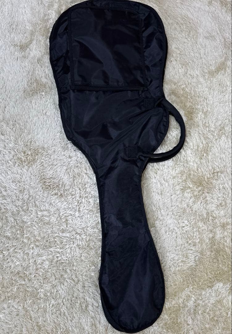 Mavis メイビス　エレキギター