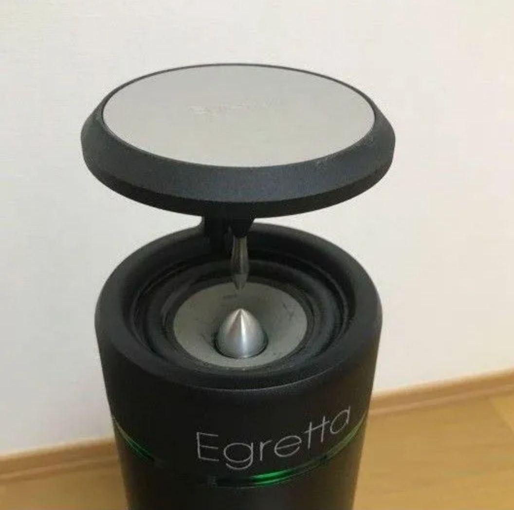 Egretta TS550 無指向性ナチュラルサウンドスピーカー オオアサ電子